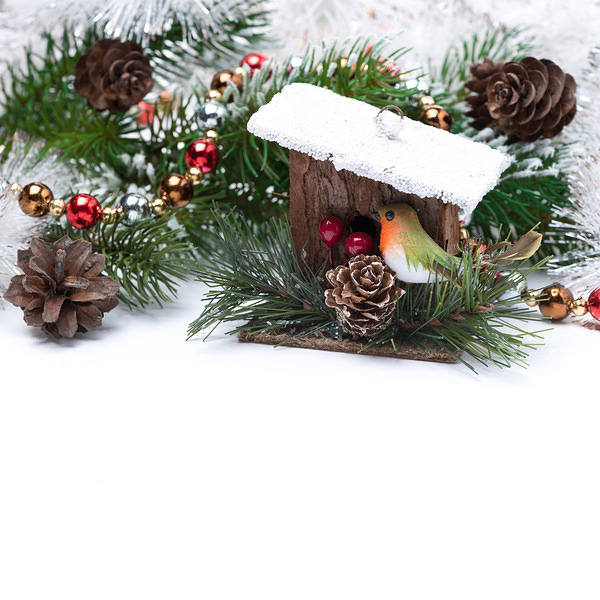 This jpeg image - Christmas Background with Pine Branches, is available for free download