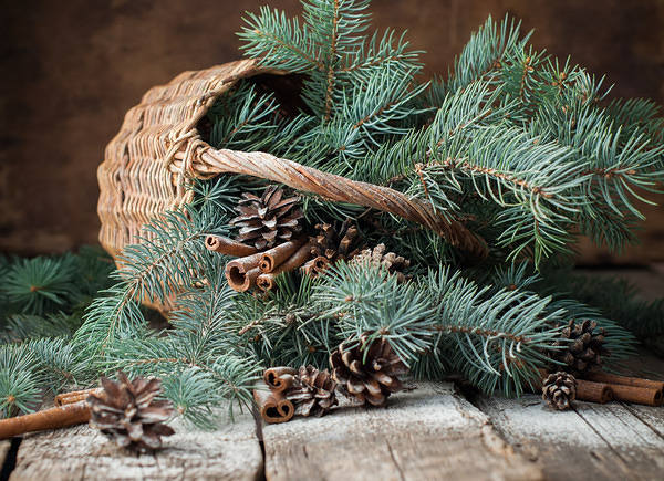 This jpeg image - Christmas Pine Basket Background, is available for free download