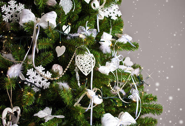 This jpeg image - Christmas Tree Background, is available for free download