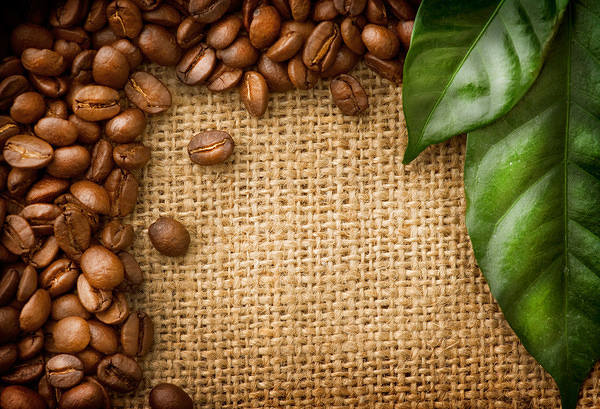 This jpeg image - Coffee Background Image, is available for free download