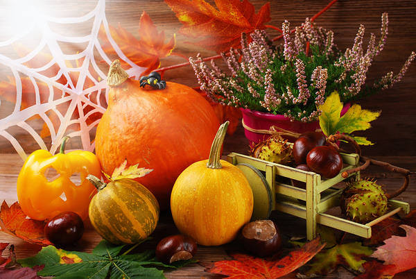 This jpeg image - Cute Autumn Background, is available for free download