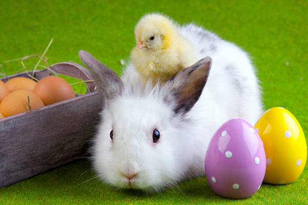This jpeg image - Cute Easter Background, is available for free download