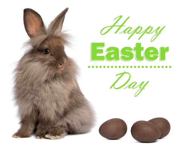 This jpeg image - Cute Easter Bunny with Chocolate Eggs Background, is available for free download