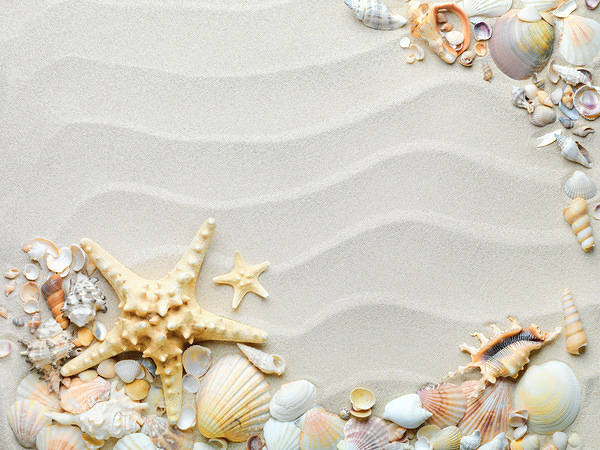 This jpeg image - Deco Sand and Shells Background, is available for free download