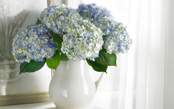 This jpeg image - Delicate Vase with Hydrangeas Background, is available for free download
