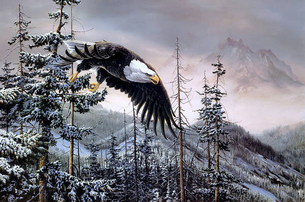 This jpeg image - Eagle Flight in Winter Forest Painting Background, is available for free download