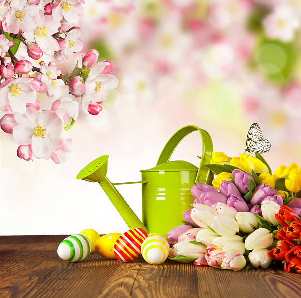 This jpeg image - Easter Background with Eggs and Water Can, is available for free download