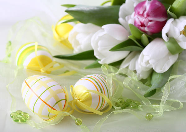 This jpeg image - Easter Background with Eggs and White Tulips, is available for free download