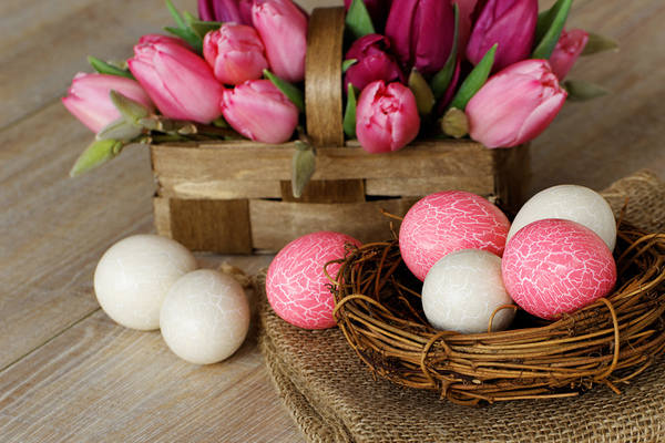 This jpeg image - Easter Background with Tulips Basket, is available for free download