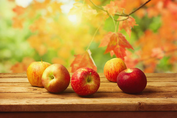 This jpeg image - Fall Background with Apples, is available for free download