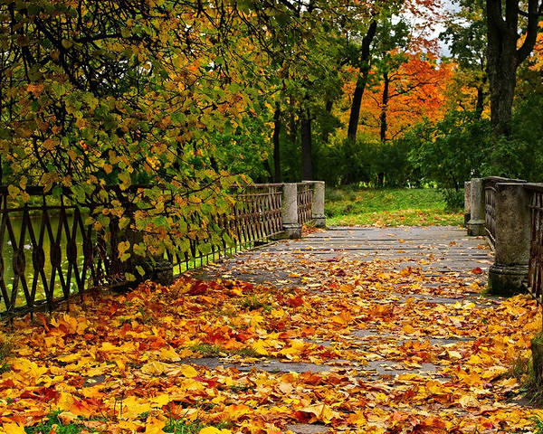 This jpeg image - Fall Bridge Background, is available for free download