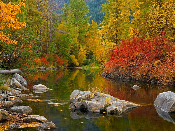 This png image - Fall Lake Background, is available for free download