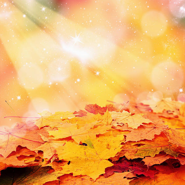 This jpeg image - Fall Leaves Background, is available for free download