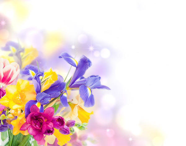 This jpeg image - Floral Decorative Background, is available for free download