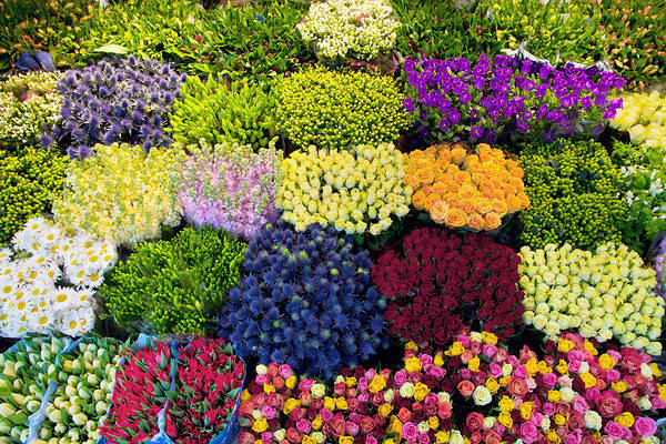 This jpeg image - Flower Shop Background, is available for free download