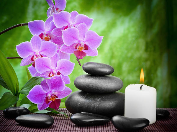 This jpeg image - Green Spa Background with Orchids, is available for free download