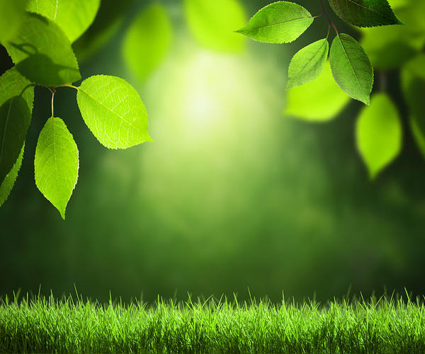 Green Summer Background | Gallery Yopriceville - High-Quality Free ...