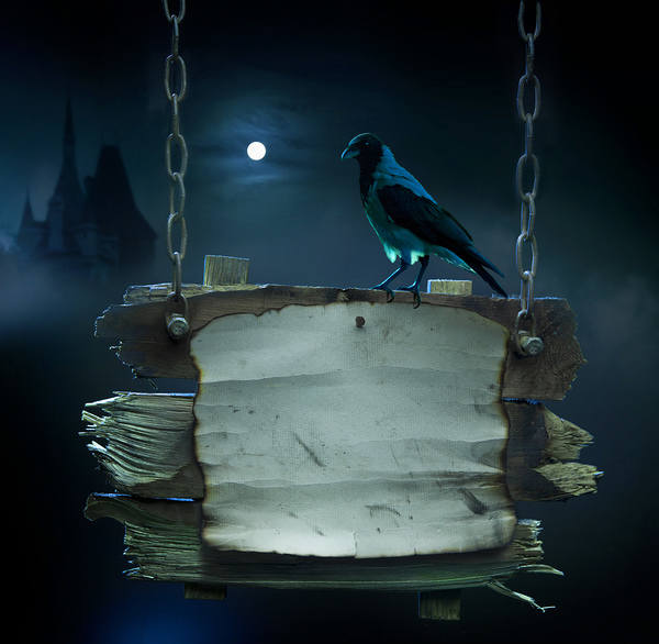 This jpeg image - Halloween Background with Raven, is available for free download