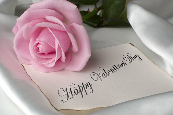This jpeg image - Happy Valentines Day with Pink Rose Background, is available for free download