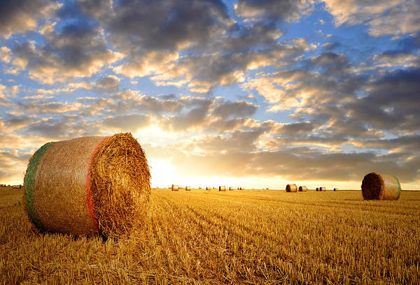 This jpeg image - Hay Bale Background, is available for free download