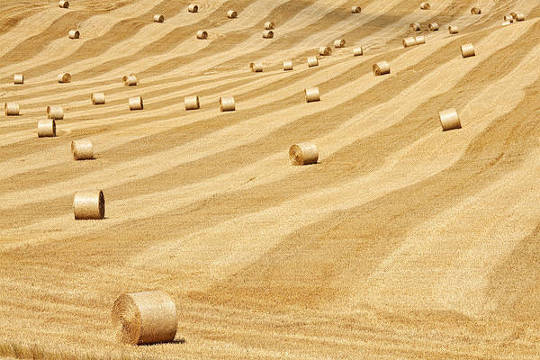 This jpeg image - Hay Bales Background, is available for free download