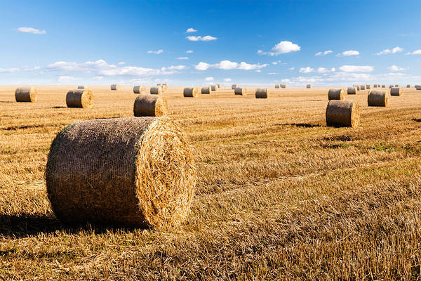 This jpeg image - Hay Bales and Sky Background, is available for free download