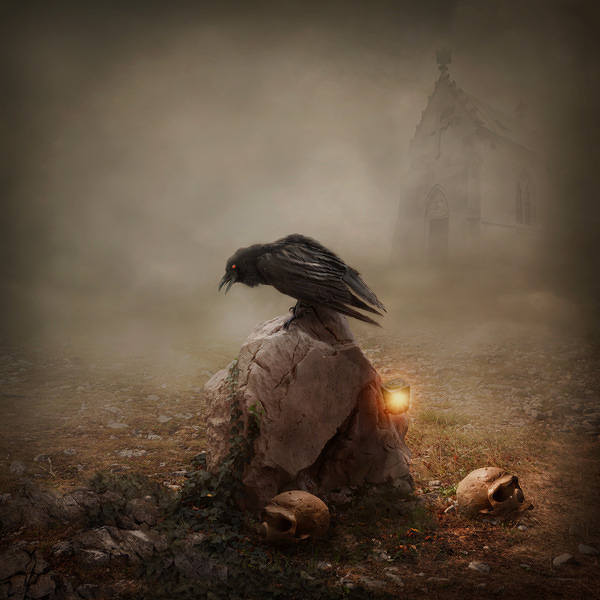 This jpeg image - Horror Background with Crow, is available for free download