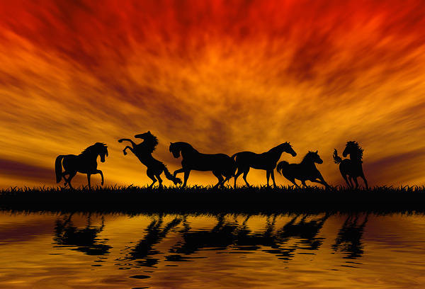 This jpeg image - Horses Background, is available for free download