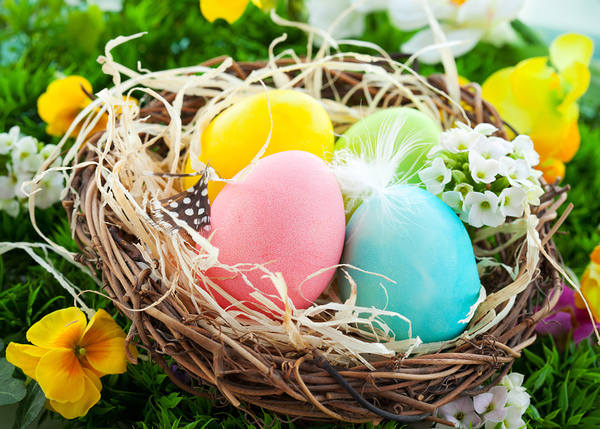 This jpeg image - Nice Background with Easter Eggs and Flowers, is available for free download