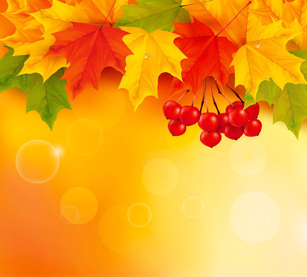 This jpeg image - Orange Fall Leaves Background, is available for free download