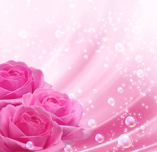 Pink Background with Pink Roses  Gallery Yopriceville 