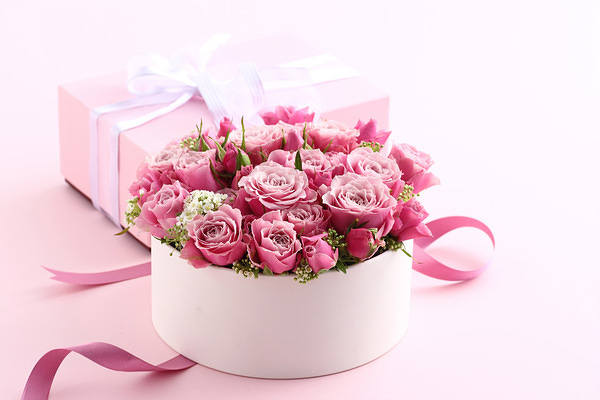 This jpeg image - Pink Roses Pink Background, is available for free download