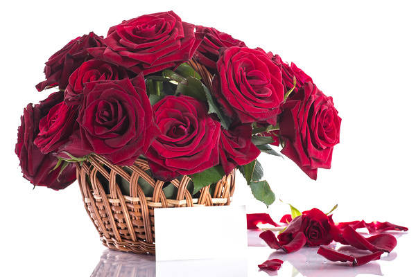 This jpeg image - Red Rose Basket Background, is available for free download