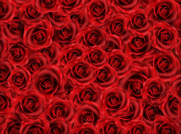 This jpeg image - Red Roses Background, is available for free download