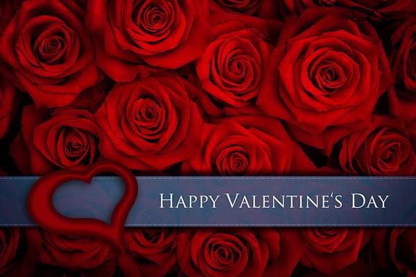 This jpeg image - Red Roses Background Happy Valentines Day, is available for free download