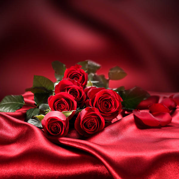 This jpeg image - Red Roses Satin Red Background, is available for free download