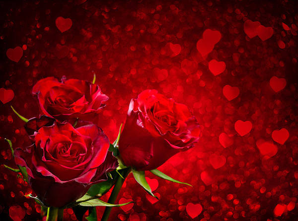 This jpeg image - Red Roses and Hearts Background, is available for free download