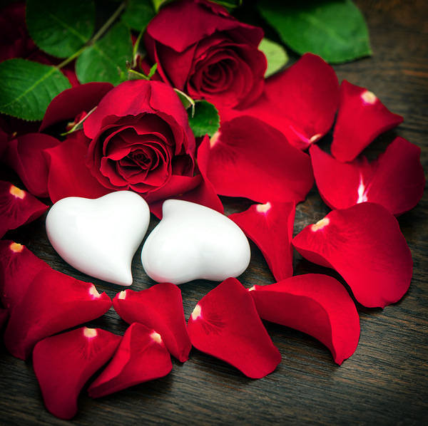 This jpeg image - Red Roses with White Stone Hearts Background, is available for free download