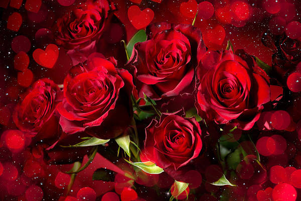 This jpeg image - Romantic Red Roses Background with Roses, is available for free download