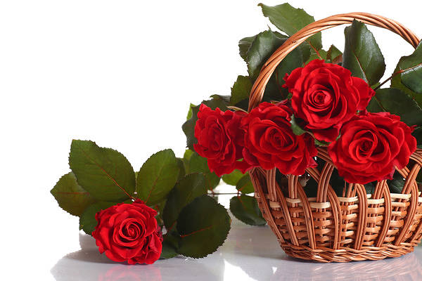 This jpeg image - Rose Basket Background, is available for free download