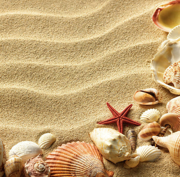 This jpeg image - Sand and Shells Background, is available for free download