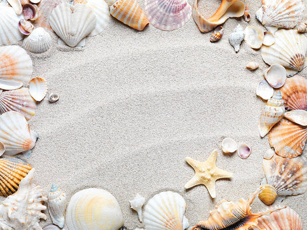 This jpeg image - Sand with Shells Background, is available for free download