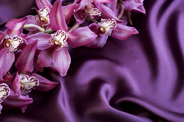 This jpeg image - Satin with Orchids Background, is available for free download