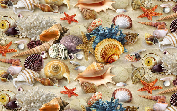 This jpeg image - Shell Background, is available for free download