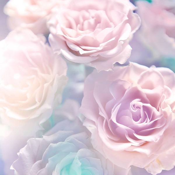 This jpeg image - Soft Roses Background, is available for free download