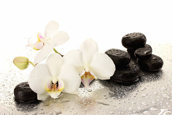 This jpeg image - Spa Orchids Background, is available for free download