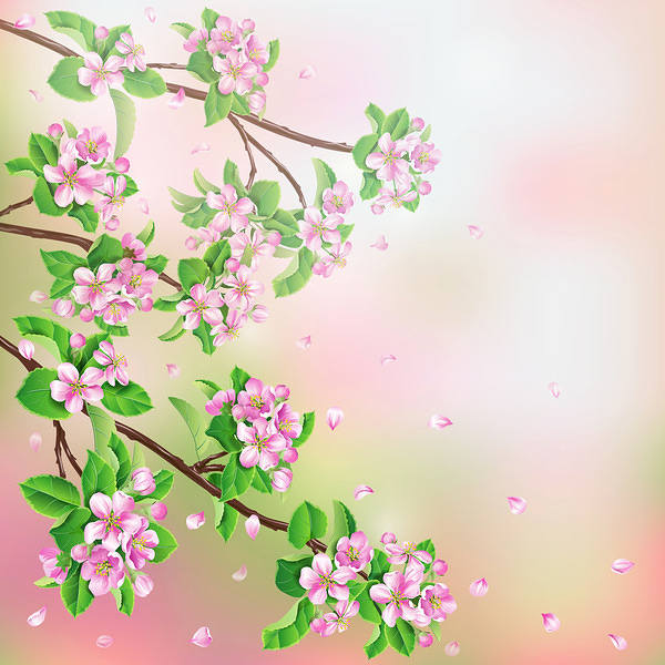 This jpeg image - Spring Branches Background, is available for free download