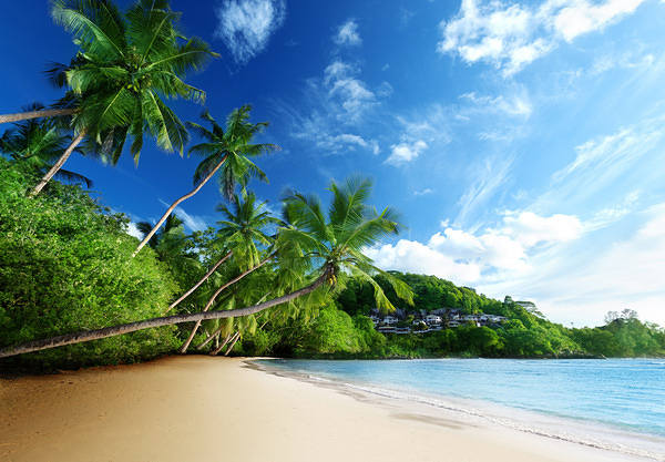 This jpeg image - Tropical Beach Background, is available for free download