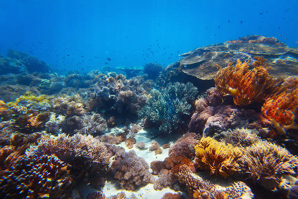This jpeg image - Underwater Background, is available for free download