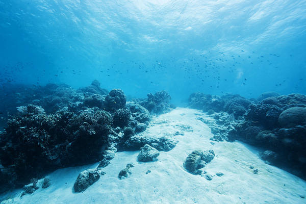 This jpeg image - Underwater Sea Background, is available for free download